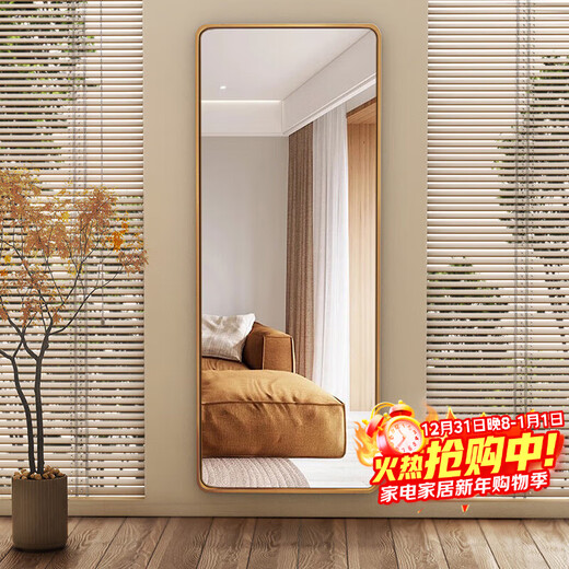 Anya miroir de dressing mural diffusion en direct miroir mural pleine longueur sans sol chambre salon miroir de montage 50*160 champagne or