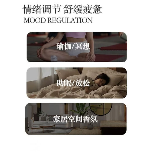 Shantou Lincun natural pine cone sandalwood thread purifying sleep aid 60 pieces pine cone incense 20g (incense insert included)