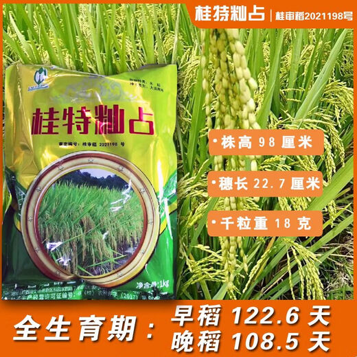 Gui Chao Рисовая рисовая лапша Специальный рис с датчиком температуры Тип Indica Обычный сорт риса Guite Indica Рисовые семена Круглый тип Guite Indica Рисовые семена 1 пакетик 2Jin Jin, равный 0,5 кг/мешок