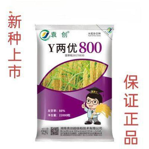 Высокоурожайные семена гибридного риса Y Liangyou 800 устойчивы к болезням и полеганию и пригодны для посадки в среднем и нижнем течении реки Янцзы. Высокоурожайные семена гибридного риса Y Liangyou 800 устойчивы к болезням и полеганию и пригодны для посадки в среднем и нижнем течении реки Янцзы.