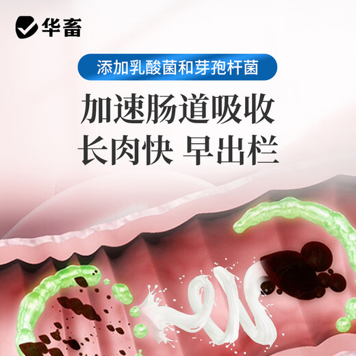 Huazhu Nuclear Energy Fattening Pig Fattening Tyrant Veterinary Fattening Treasure Pig Cattle and Sheep Advantages Growth Promoting Piglet Premix 5 Bags The Fattening Effect Can Be Seen Nuclear Energy Fertilizer