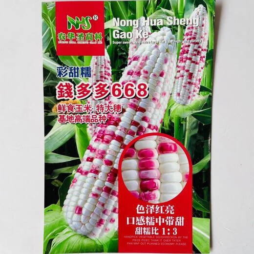 Large area sowing black and white yellow color sweet plus waxy super sweet fruit corn high yield and early maturity wholesale Mitiannuo No. 4 One Jin Jin is equal to 0.5 kg