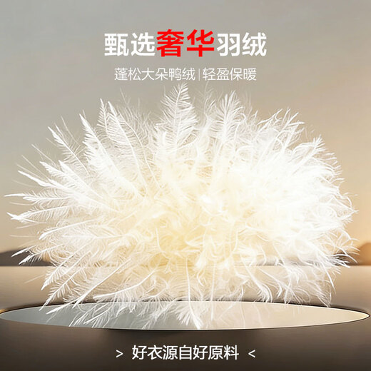 Jiumuwang counter model-cold-proof hooded down jacket for men to keep out the cold and keep warm duck down lining business classic shopping mall same style blue slim version AK5D51627 L 170/92A(48) down filling capacity-66g