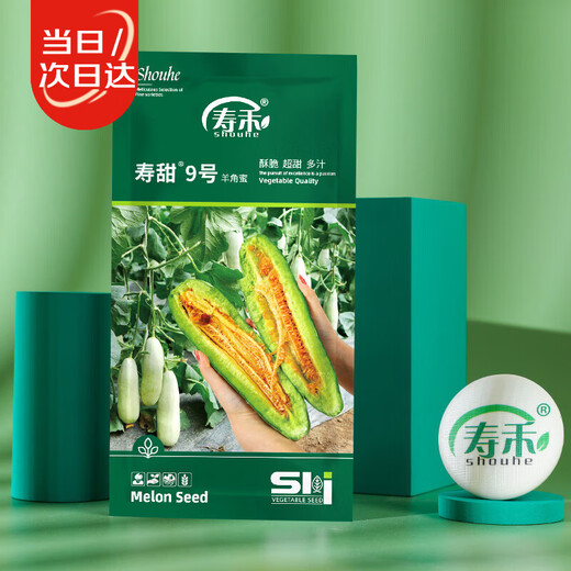 Shouhe Shandong croissant honey seed seedlings winter and spring melon muskmelon seeds Weiyu Shouting No. 9 crocus honey seeds 200 capsules