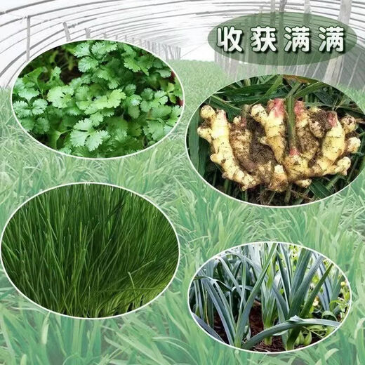 Onion, ginger, garlic, general soil cultivation, flower cultivation, nutrient soil, nursery soil, flowers, golden kudzu, special organic soil fertilizer, general nutrient soil 20Jin Jin equal to 0.5kg (mixed organic fertilizer)