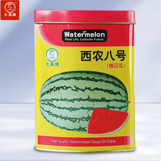Dayu lazy man watermelon seed seedlings are extra large and suitable for early-maturing lazy people in the south 8424 Kirin melon Meidu seedless fruits and vegetables Xinong No. 8 watermelon seeds 50g about 500 grains