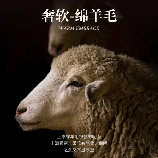 Rich 70 sheep wool double-sided woolen spring and autumn executive jacket warm lapel zipper woolen jacket men's coat