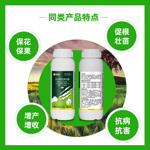 24 table high brassinolide brassinolide brassinolide fruit tree wheat brassinolide plant growth regulator 500g