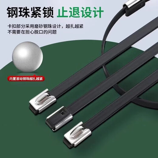 Stainless steel tie German 304 spray-painted stainless steel tensioner high strength anti-aging new self-locking metal resistant 4.6*400mm (100 strands 1 pack) 304 material