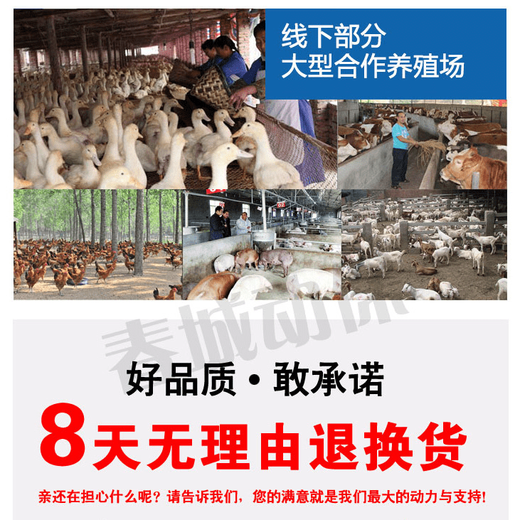 OIMGVE powder feed additive for pigs, cattle, sheep, chickens, ducks and animals, vitamin E breeding powder, national standard premix, old brand pigs, 5 bags of Avitamin E