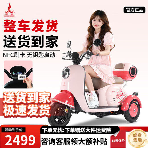 Phoenix Beetle Electric Tricycle Household Small Electric Motorcycle Adult Leisure Battery Car for Women 500W+48V12A Lead Acid + Range About 25 Kilometers
