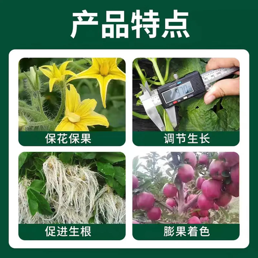 Zheng's Chemical 98% Sodium Nitrophenolate Original Powder Genuine Rooting, Strengthening Seedlings and Increased Yield Agricultural Flower and Fruit Preserving Plant Growth Regulator Quanfeng 98% Ammonium Ester 10KG