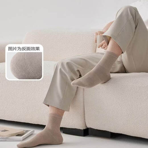 Sanli Socks Men's Autumn and Winter Mid-Stocks Anti-odor Sports Sweat-Absorbent Black Business Warm Stockings White+White+White+White+White+White_7A One Size 6 Pairs 39-44