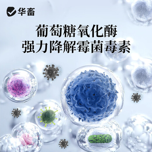 Huazhu veterinary mold removal agent for cattle, sheep and pigs, special biological mold removal net for corn, chicken and duck feed, mold removal additive for pregnant animals, 1 barrel, double-effect biological mold removal pioneer 10kg