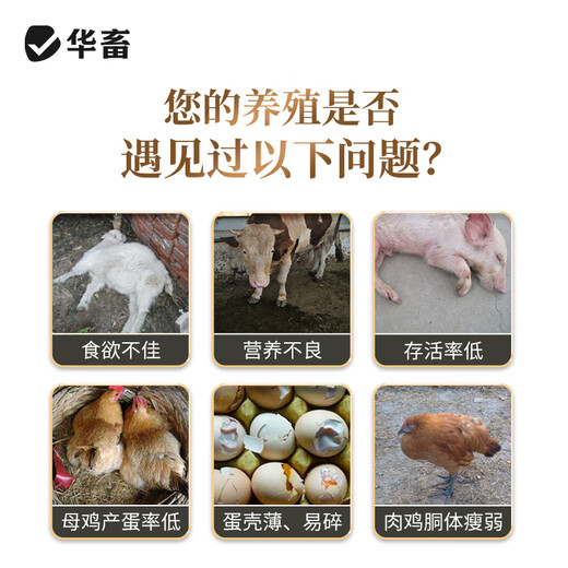 Huaxiu veterinary feed additive sodium bicarbonate for farms, special for pigs, cattle, sheep, chickens and ducks, baking soda for stomach and digestion 1 bag to neutralize gastric acid baking soda