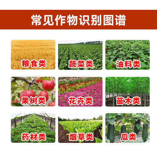 8% amine fatty acid regulator, wheat cold resistance and antifreeze agent, plant growth regulator to alleviate phytotoxicity, vegetable damage, 8% amine fatty acid ester 10g*50 bags