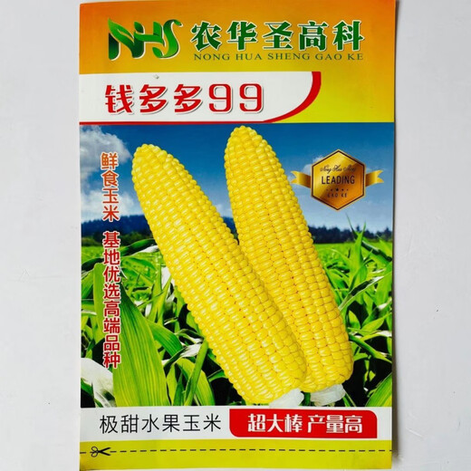 Large area sowing black and white yellow color sweet plus waxy super sweet fruit corn high yield and early maturity wholesale Mitiannuo No. 4 One Jin Jin is equal to 0.5 kg