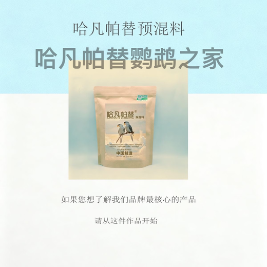 Havanpatil premix 500g