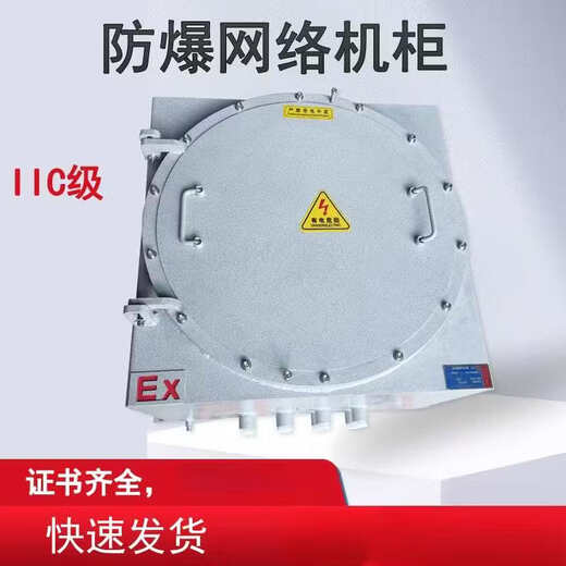 Explosion-proof network cabinet, anti-corrosion distribution box cabinet, carbon steel weak current cabinet, stainless steel switch chassis IIB/IIC monitoring 9U