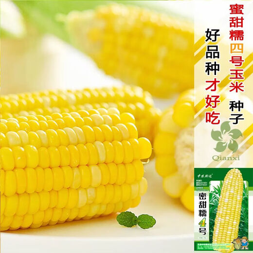 Сладкие клейкие красные семена кукурузы белого цвета желтые сладкие клейкие семена кукурузы северные и южные поля раннеспелые семена кукурузы мед сладкий клейкий рис № 1 оригинал 50г