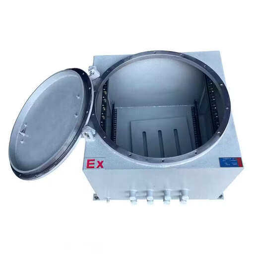 Explosion-proof network cabinet, anti-corrosion distribution box cabinet, carbon steel weak current cabinet, stainless steel switch chassis IIB/IIC monitoring 9U