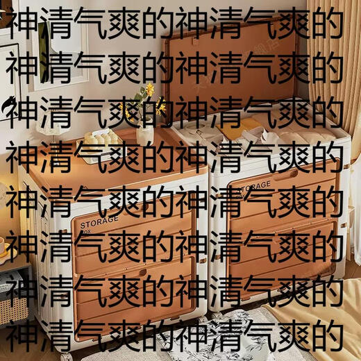 Yusenyi Clothes Storage Box Large Capacity Extra Large Flip Cover Wheeled Organizer Box Special Storage Cabinet for Folding Clothes and Quilts Light Gray Three Door Design (Removable Partition Comes with Universal Pulley)