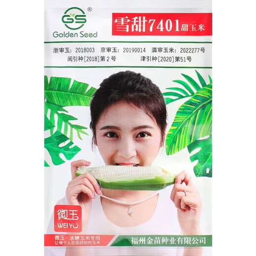 雪甜7401甜玉米种子爆汁珍珠牛奶玉米冰糖水果玉米春秋播玉米种孑 金苗雪甜7401玉米 40g原装*2袋