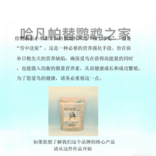 Havanpatil premix 500g