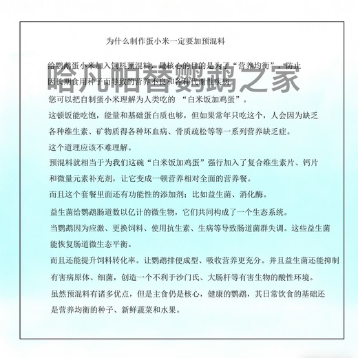 Havanpatil premix 500g