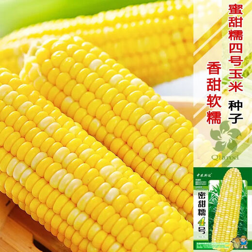 Сладкие клейкие красные семена кукурузы белого цвета желтые сладкие клейкие семена кукурузы северные и южные поля раннеспелые семена кукурузы мед сладкий клейкий рис № 1 оригинал 50г