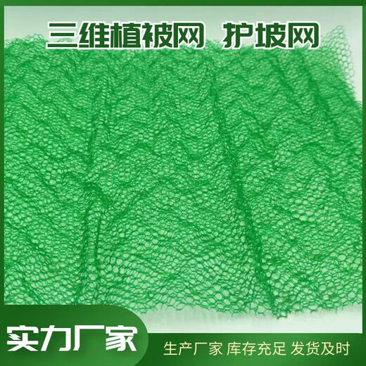 Three-dimensional vegetation network three-dimensional network geotechnical network green slope protection soil solidification dust-proof slope protection garden grass seed planting bag national standard second layer 2 meters * 50 meters 100 square meters