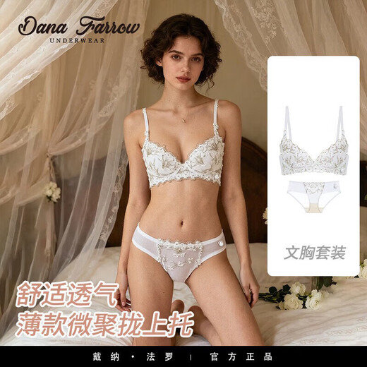 DANA FARROW brand 2026 new bra French sexy embroidered underwear lace slightly gathered top support retro half cup thin section for women tea green suit 70A one size