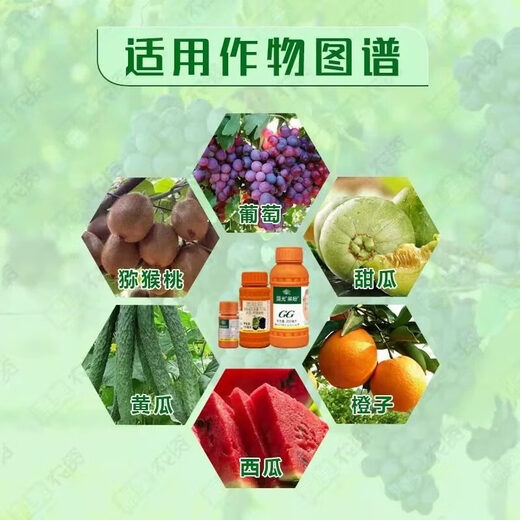 Guoguang Youlehong 8% ethylamine coloring increases root production, promotes cell division, preserves flowers and fruits, growth regulator 0.1% chlorfenuron 100ml