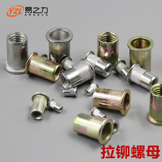 Yizhili rivet nut flat head cylindrical rivet nut knurled rivet stainless steel 304 rivet pull cap nut stainless steel M12 (20 pieces)