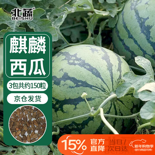 Beishu watermelon seed seedlings rock sugar unicorn 8424 potted watermelon seeds rock sugar unicorn melon seeds about 150 pieces