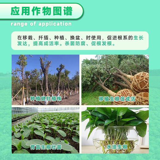 5% indolebutyric acid naphthalene acetic acid rooting powder plant growth regulator rooting agent fruit tree rooting liquid cuttings 5% indolebutyric acid naphthalene acetic acid 10g*50 bags