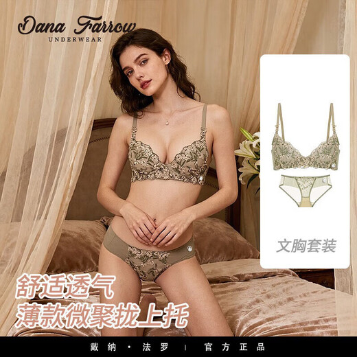 DANA FARROW brand 2026 new bra French sexy embroidered underwear lace slightly gathered top support retro half cup thin section for women tea green suit 70A one size