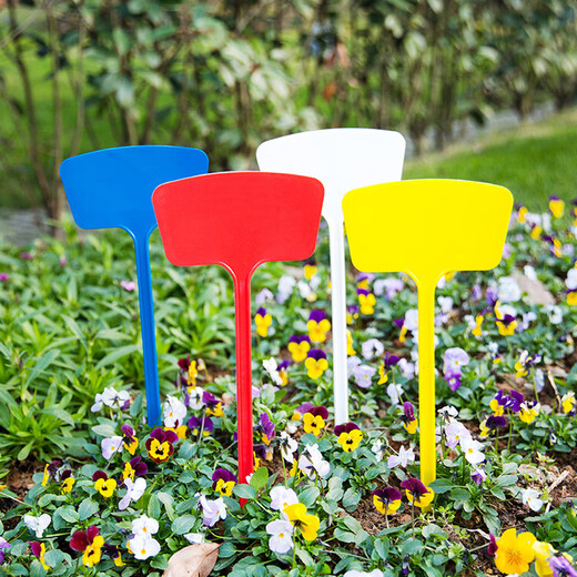 AEOJ Various Specifications Multi-Color Plastic Large Ground Sign Gardening Label Gardening Sign 50 Count 36cm Surface Ground Sign Blue