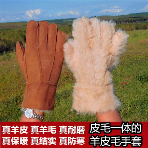 Fantasy German imported high-quality suede leather gloves for men and women, outdoor men's five-finger shearling thickened style, one-piece fur, green outer cover + extra large sheepskin liner, standard fur (regardless of thickness)