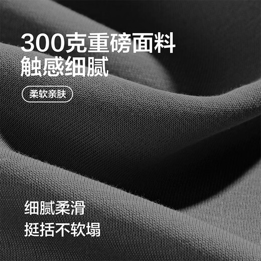 Hodo Chinese style casual round neck top men's spring and autumn bamboo logo print heavyweight high-end triangle neckline pullover sweatshirt