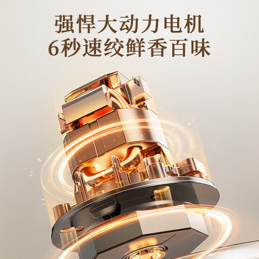 Bear Meat Grinder Household Small Multi-functional Machine for Mincing Meat and Vegetables Stuffing Machine Meat Mincer Meat Mixer Meat Stuffing Meat Grinder Non-hole Knife QSJ-L03H1