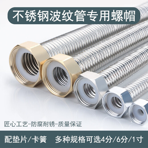 Wing Fantasy 304 stainless steel bellows nut, thickened water and electricity pipe joint, 4 points, 6 minutes, 1 inch household accessories, 4 points, 304 steel cap (with 16 tubes), free 304 circlip + gasket