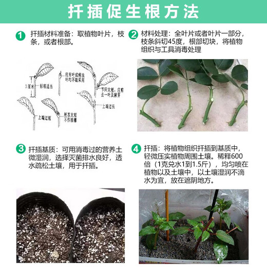 Zhongbao Penwang Hydroxyene Adenine Adenine Vegetable Growth Growth Regulator 20g*30 Bags