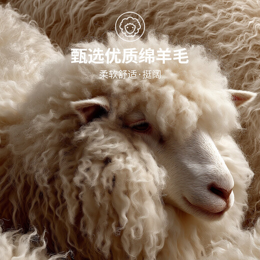 Kangaroo (DAISHU) 100% sheep wool autumn semi-worsted wool sweater stand collar zipper thickened full wool cardigan for men