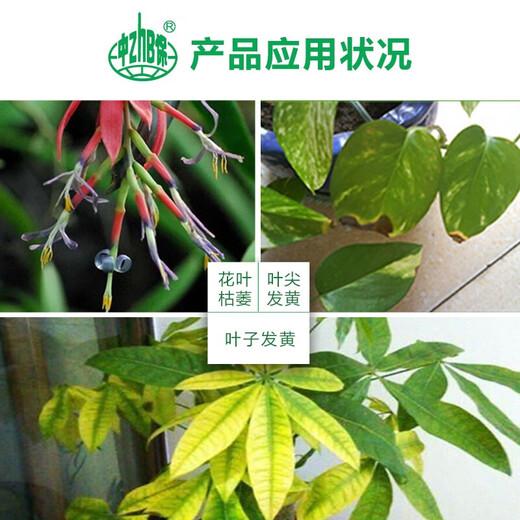 Zhongbao Penwang Hydroxyene Adenine Adenine Vegetable Growth Growth Regulator 20g*30 Bags