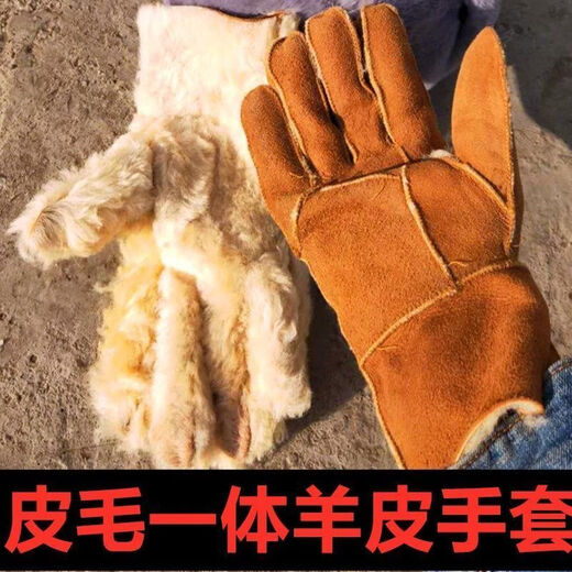 Fantasy German imported high-quality suede leather gloves for men and women, outdoor men's five-finger shearling thickened style, one-piece fur, green outer cover + extra large sheepskin liner, standard fur (regardless of thickness)