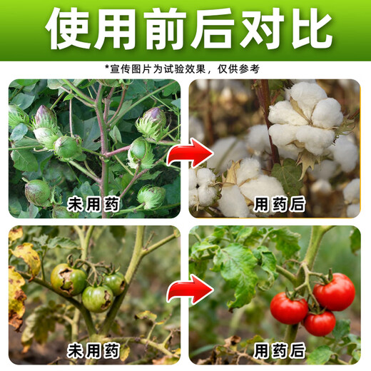 Bangsec 40% Ethephon Ripening Agent Ethili Ripening Plant Growth Regulator Cotton Special Pesticide 1kg*1 Bottle Selected Special Pack