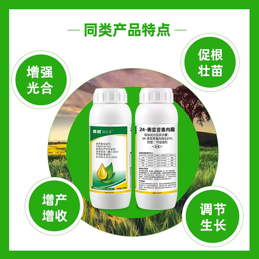 24 epibrassinolides, fruit tree wheat, flower and fruit protection, anti-fruit drop plant growth regulator pesticide 10g*5 bags