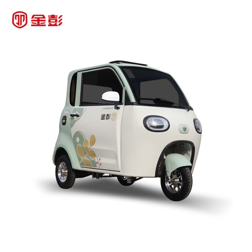 Jinpeng Xuebao high-end electric tricycle caravan for the elderly to transport adult women to pick up and drop off children electric battery car flagship version 1000W lead-acid battery 60V52A variable speed