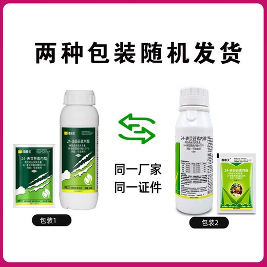 24 table high brassinolide brassinolide brassinolide fruit tree wheat brassinolide plant growth regulator 500g